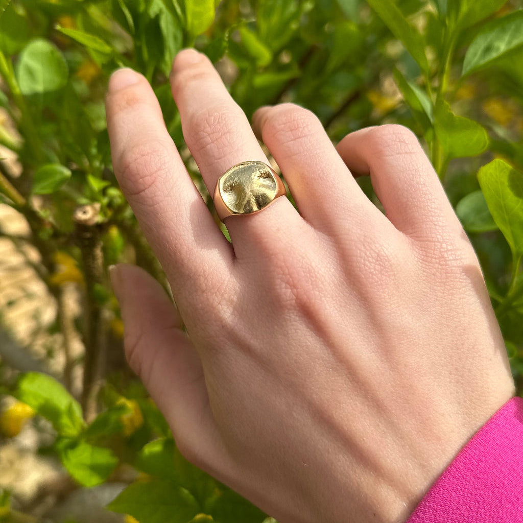 Darwin - forgyldt Sølvring med aftryk af hunde snude med natur baggrund fra touch copenhagen